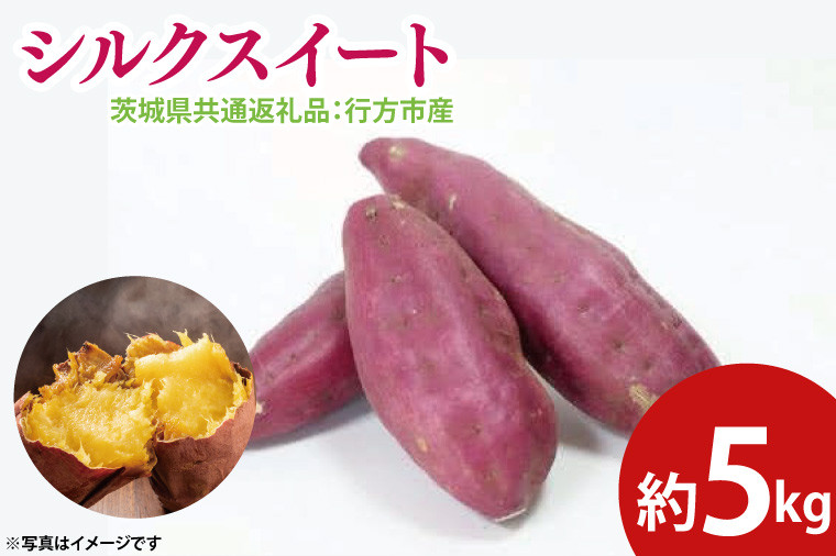 
            【先行予約】シルクスイート 約5㎏（茨城県共通返礼品：行方市産）※2025年10月上旬～2026年3月下旬頃に順次発送予定（CD086）
          