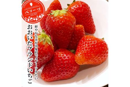 【先行予約】大分県ブランド いちご ベリーツ 約 800g ( 200g×4パック ) | 苺 イチゴ いちご ベリー フルーツ 果物 くだもの 大分県産 産地直送 九州産 国産 大分県 中津市