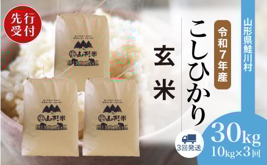 
            ＜令和7年産米先行受付＞ 鮭川村 コシヒカリ 【玄米】 30kg定期便 （10kg×3回発送）＜配送時期選べます＞
          