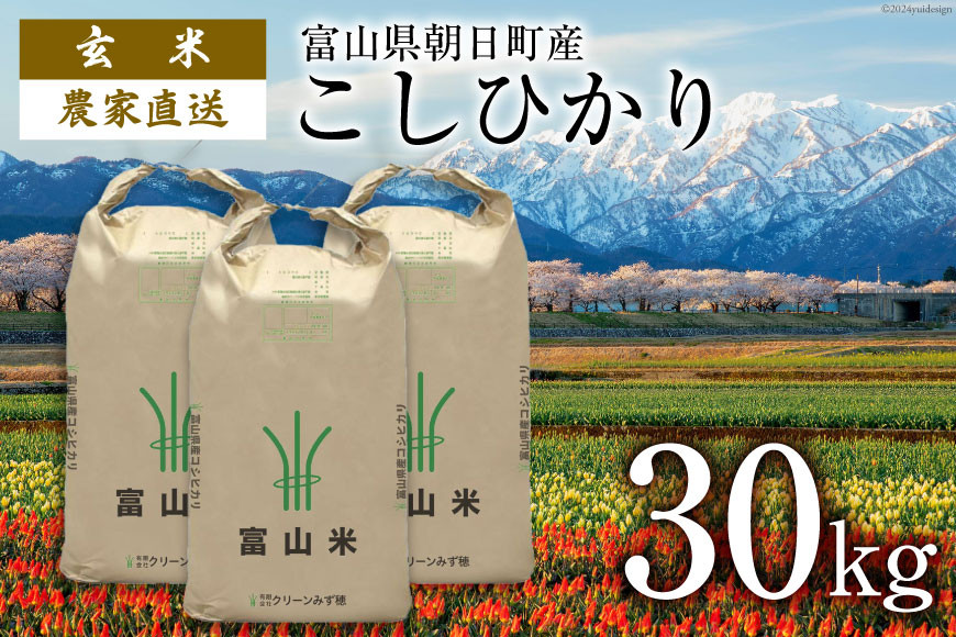 
            期間限定発送 玄米 令和6年 こしひかり 30kg [クリーンみず穂 富山県 朝日町 34310442] お米 コシヒカリ コメ 30キロ ご飯 ごはん 農家 直送 おこめ こめ
          