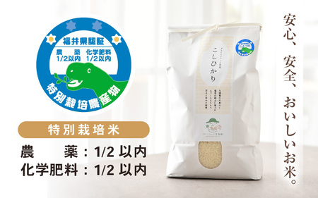 【令和5年産】 特別栽培米 コシヒカリ 無洗米 5kg 低農薬 / 北陸 福井県産 あわら市 ブランド米 白米 お米 コメ 特栽米