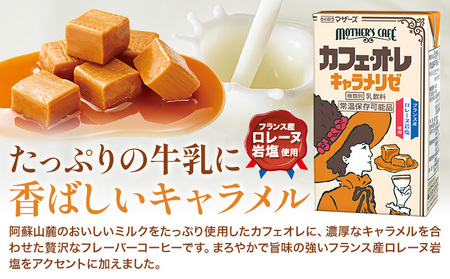 常温保存可能 カフェオレ キャラメリゼ 250ml×24本 1ケース 合同会社たべたせいか《30日以内に出荷予定(土日祝除く)》熊本県 菊池市 コーヒー牛乳 カフェ・オ・レ キャラメル 乳飲料 乳性飲