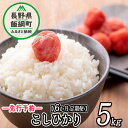 【ふるさと納税】 信州産 こしひかり 5kg × 6回 【 6カ月 定期便 】 ※沖縄は配送不可 丸西農園 長野県 飯綱町 【 コシヒカリ 新米 米 お米 精米 信州 長野 白米 】【令和6年度収穫分】発送：2024年11月上旬〜 [お届け6回 (**)]