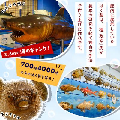 ふるさと納税 境港市 ホホジロザメの弓浜絣巾着 |  | 02