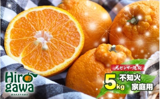 不知火 （ しらぬい ） 家庭用 5kg サイズ混合 光センサー / デコポン 甘い 和歌山 柑橘 ※2027年2月中旬～4月中旬に順次発送予定 ※北海道・沖縄・離島への配送不可 【nuk010-c-5B】