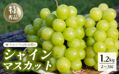 【2026年発送★先行予約】シャインマスカット 約1.2kg 2～3房 154-007-26y | フルーツ 果物 高評価 人気 ランキング おすすめ 甘い 美味しい デザート 数量限定 送料無料 山梨県産 笛吹市　種なしぶどう 「販売」 KEIPE株式会社