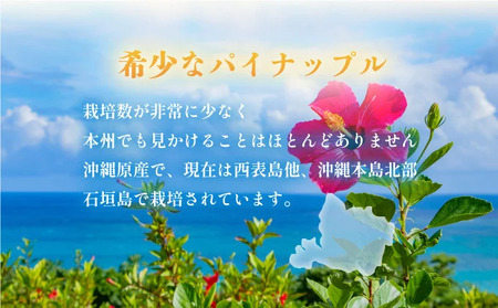 穫れたて新鮮冷凍！西表島の完熟ピーチパイン4.8kg(400g×12袋)　