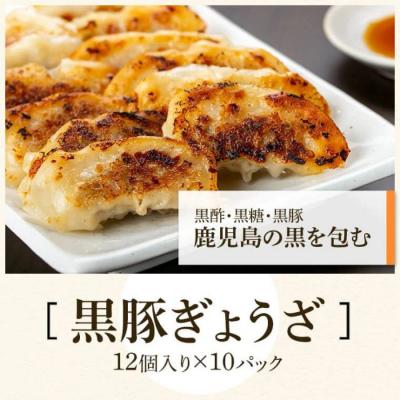 ふるさと納税 肝付町 ふるさと2選B(焼豚 約200g×4個、 餃子 12個入×10パック)　B02104 |  | 02