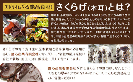きくらげ黒麺 1袋 ＋ オイル漬け 2個 セット 鷹乃産業有限会社 《30日以内に出荷予定(土日祝除く)》熊本県 球磨郡 山江村 きくらげ きのこ 野菜 パスタ ペペロンチーノ 麺 おつまみ
