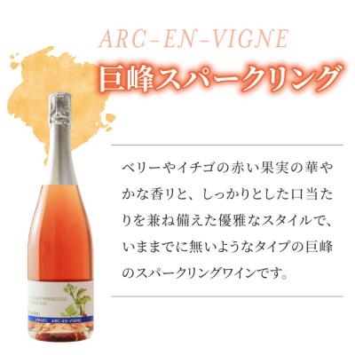 ふるさと納税 東御市 【アルカンヴィーニュ】ワイン・シードル 3種セット(巨峰 スパークリング・シードル・巨峰ロゼ) |  | 01