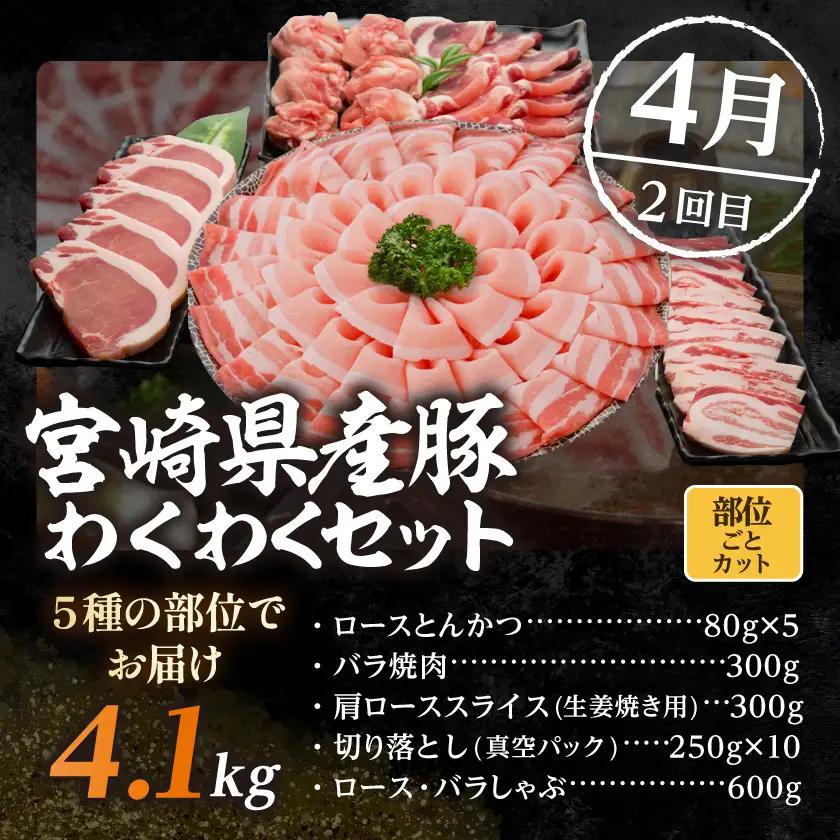 【☆セレクト定期便☆】豚肉好きさんへの定期便(3ヶ月)2月・4月・6月お届け≪2027年お届け≫〔T52-3-S003〕_(都城市) 宮崎県 豚肉 どんぐりの恵み豚 小間 とんかつ しゃぶしゃぶ 炒め