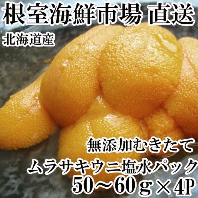 ふるさと納税 根室市 無添加むきたてムラサキウニ塩水パック50〜60g×4P B-28068