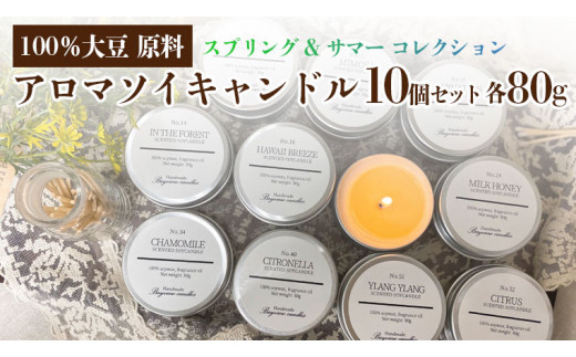 
100% 大豆が原料! アロマ ソイキャンドル ～スプリング & サマー コレクション 10個 セット 【Bayview candles】キャンドル ソイ ワックス フレグランス 贈り物 プレゼント キャンプ 母の日 [BA011ya]
