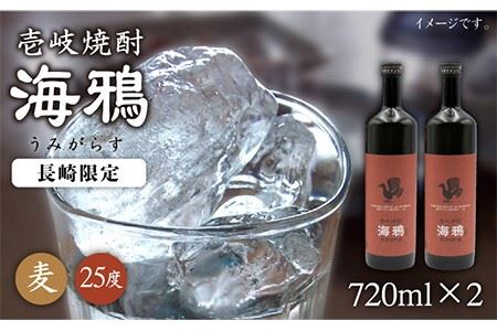 麦焼酎 海鴉 720ml×2本（25度）《壱岐市》【天下御免】[JDB034] 焼酎 壱岐焼酎 むぎ焼酎 本格焼酎 お酒 熟成 ギフト プレゼント 地酒 飲み比べ セット 16000 16000円 九州
