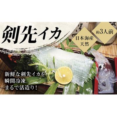 ふるさと納税 山口市 瞬冷まるで活造り!冷凍日本海産剣先いか(約3人前) D262