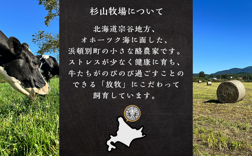 放牧牛 スロービーフ ハンバーグ 120g 6個(計720g) 杉山牧場 北海道 浜頓別 肉 牛 牛肉 ウエットエイジング