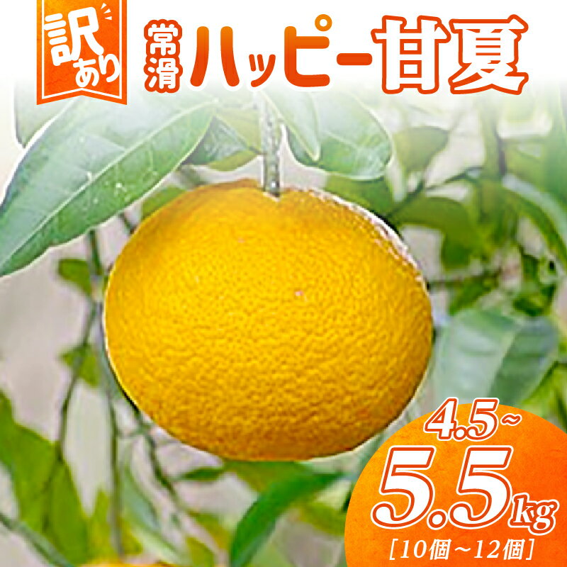 【ふるさと納税】【訳あり】【数量限定】常滑ハッピー甘夏【1箱 4.5～5.5kg】10～12個 甘夏 みかん 柑橘 フルーツ 果物 季節のフルーツ お取り寄せ【2026年2月上旬～順次発送】送料無料