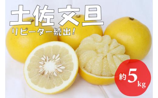 
                  【先行予約 2027年2月～発送】森下さん家の土佐文旦 5kg 贈答用 フルーツ 果物 柑橘 ぶんたん 産地直送 高知県
                