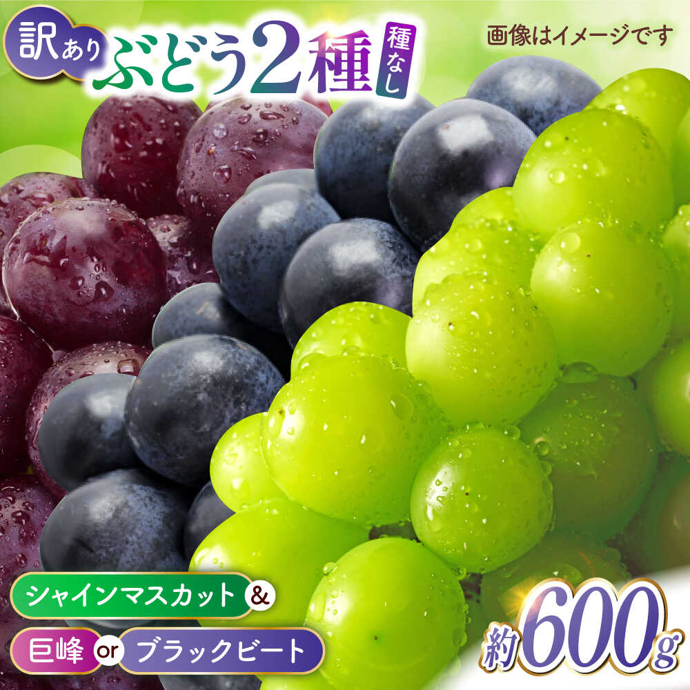 【ふるさと納税】【訳あり】こば農園 種なし ぶどう 2種食べ比べセット 約600g （ シャインマスカット &amp; 巨峰 or ブラックビート）【合同会社 こば農園】[ZFO004]