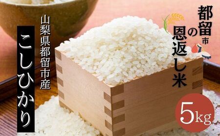 【ふるさと納税】【令和7年産 新米】山梨県都留市産 コシヒカリ 5kg｜精米 産地直送 送料無料【都留市の恩返し米】