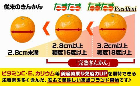 《先行受付!》 【家庭用】宮崎ブランド完熟きんかん「たまたま」1kg_LG-0101