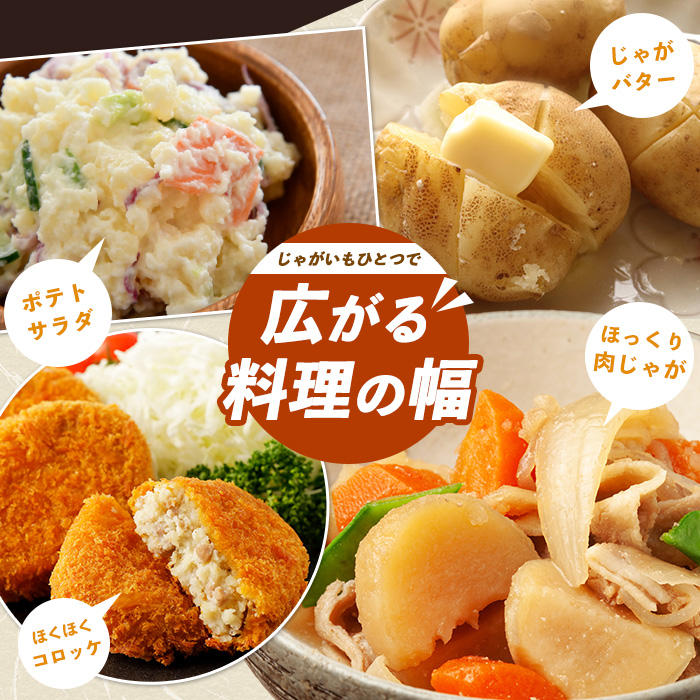 和喜雄さんといつみさんの熟成じゃがいも5kg【飯尾和喜雄農園】iio-1015