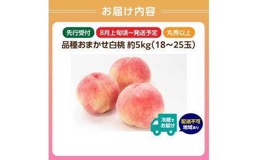 《先行受付》品種おまかせ 白桃 約5kg【丸秀以上】 （18～25玉）【2026年8月上旬頃～9月中旬発送予定】