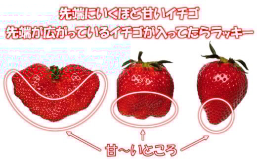 苺大野屋 やよいひめ 厳選いちご 250g×4パック 1kg 宮崎県西都市 <1.2-46>