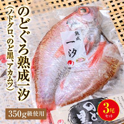 ふるさと納税 京丹後市 のどぐろ熟成一汐(ノドグロ、のど黒、アカムツ) 350g級使用　仕上がり後260g以上　3尾セット