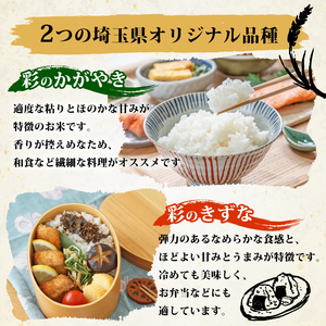 【6回定期便】 精米 5kg ×6回 彩のかがやき 米 定期便 白米