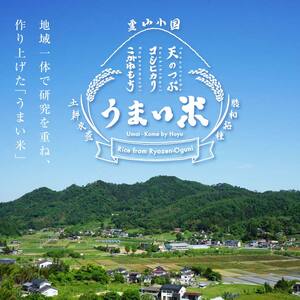 JGAP認証 新米 令和7年産米 霊山小国うまい米 コシヒカリ 5kg 精米 白米 F20C-256