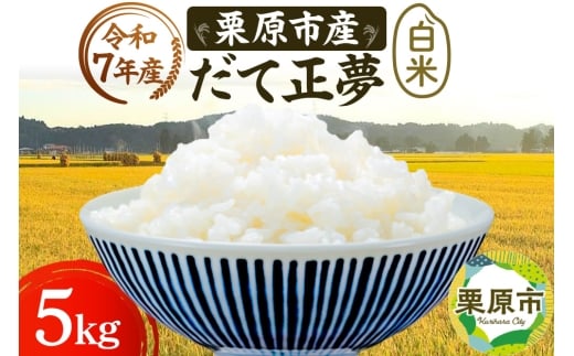 《令和7年産》【白米】栗原市産 だて正夢 5kg 精米 ブランド米 黒澤農産 宮城県 栗原市