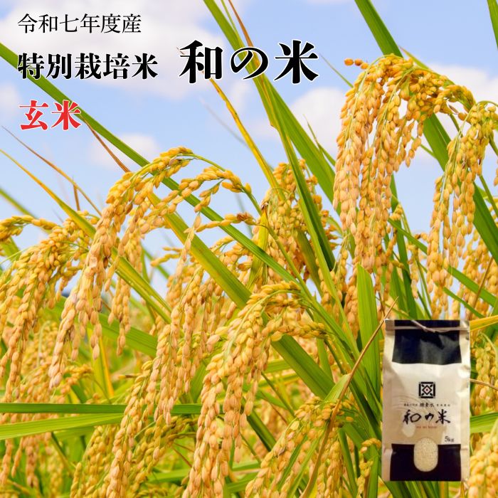【ふるさと納税】《 令和7年産 》和の米　「酵素米」　玄米　5kg　10kg ／ 米 こめ コメ お米 おこめ コシヒカリ こしひかり 和の米 酵素米 特別栽培認証 新米 玄米 ごはん ご飯 令和7年産 5kg 10kg 定期便 茨城県 利根町 送料無料