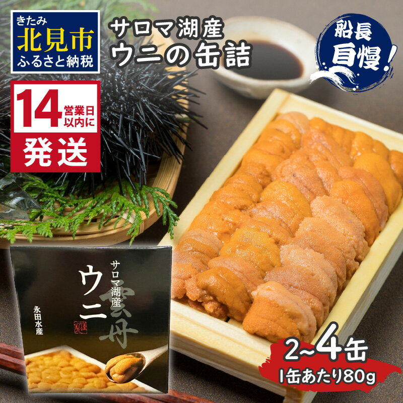 【ふるさと納税】《14営業日以内に発送》サロマ湖産 ウニの缶詰 80g 2缶 4缶