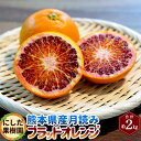 【ふるさと納税】にしだ果樹園の熊本県産 月読み ブラッドオレンジ 約2kg フルーツ くだもの 果物 果実 柑橘 オレンジ 常温 にしだ果樹園 九州 熊本県 送料無料 【2025年3月上旬発送開始】