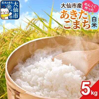 ふるさと納税 大仙市 米 あきたこまち 白米 5kg 伊藤精米店|22_its-010501
