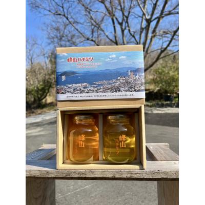 ふるさと納税 香川県 峰山ハチミツ大びん2本セット(高松景色箱入り)