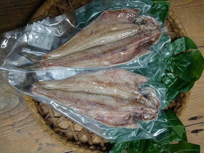 北海道産 上ノ国町 天日干し真ホッケ（2Lサイズ×2枚）　ほっけ　𩸽　物産展　魚介類　冷凍