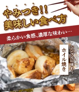 【 2026年先行予約 】農家厳選！南国の赤土で育んだ 沖永良部島産 生にんにく 2L玉 2kg【 3月下旬～4月下旬 】 W041-002u にんにく ニンニク 生ニンニク 野菜 期間限定 限定 先