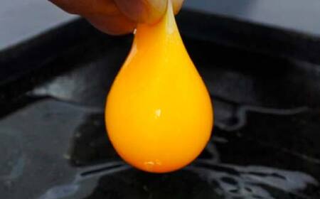 <定期便>【Lサイズ 40個×6ヶ月コース】40個(36個+割れ補償4個) 安心・安全な『下川六〇酵素卵』を毎日の食卓に! 下川ろくまる あべ養鶏場 割れ補償付き ブランド卵 たまご 玉子 タマゴ ふ