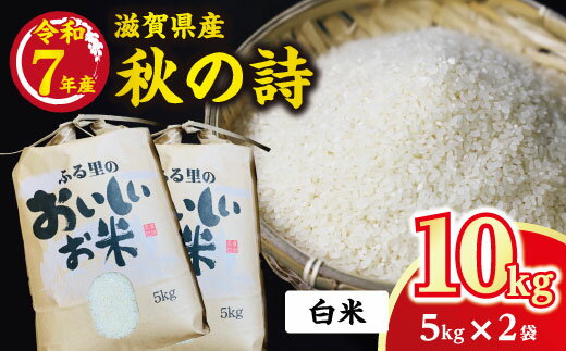 【ふるさと納税】【新米】令和7年産 近江米 秋の詩 10kg （5Kg × 2袋） 環境こだわり米 白米 精米 国産 キッチンパル