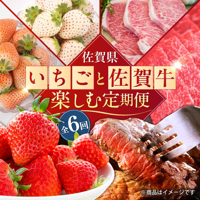 【ふるさと納税】【2026年発送分 先行予約】【全6回定期便】佐賀県の生産者を応援！いちごと佐賀牛を楽しむ定期便 / 白いちご いちご ステーキ 焼肉 すきやき 佐賀牛 / 佐賀県ふるさと納税 [41AAZZ009]