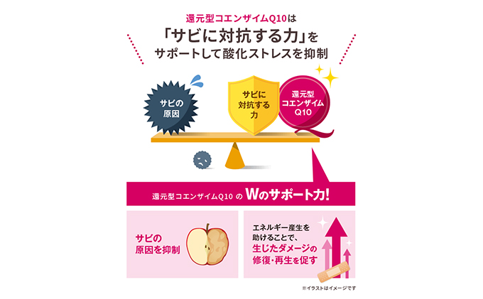 サプリ DHC コエンザイムQ10 還元型 30日分×6個 セット 機能性表示食品 サプリメント Q10 抗酸化 健康 美容 健康食品 加工食品 静岡 静岡県 袋井 袋井市