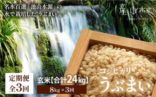 【令和5年米　定期便3回】うぶまい(コシヒカリ　玄米)8kg〈阿蘇の名水　池山水源米〉