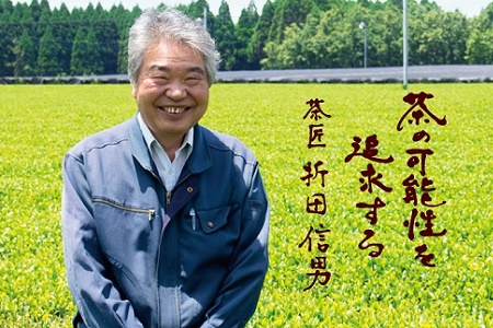 049-01 おりた園特上深蒸し茶3本セット