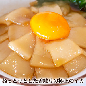 イカ 醤油 漬け丼 10パック 漬け丼セット 漬け丼漬け丼漬け丼漬け丼 高知県 須崎市