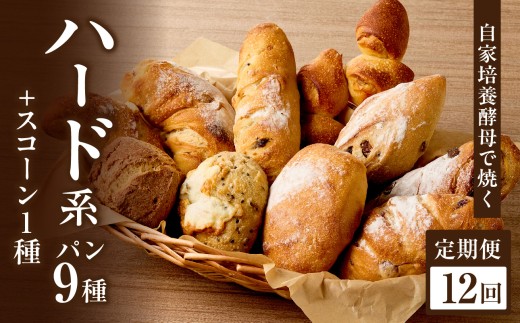 【全12回定期便】自家培養酵母で焼くハード系パン9種＋スコーン1種セット！ハード系 パン スコーン 自然素材「Boulangerie Faveur」京都府 木津川市【065-04-T04】