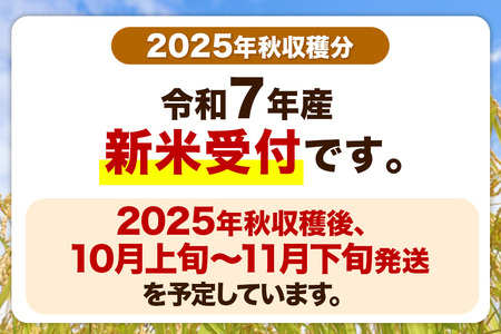 【玄米】令和7年産 新米受付 真田のコシヒカリ小松姫 プレミアム 10kg(5kg×2袋) 金井農園