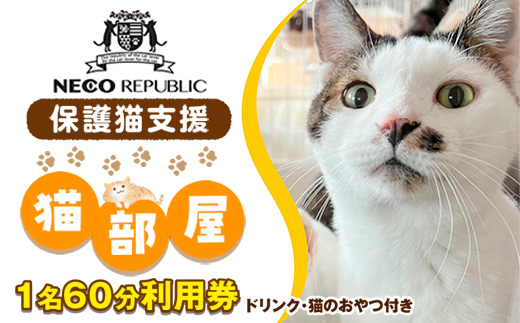 保護猫支援 猫部屋１名６０分利用券 ドリンク・猫のおやつ付き BR05