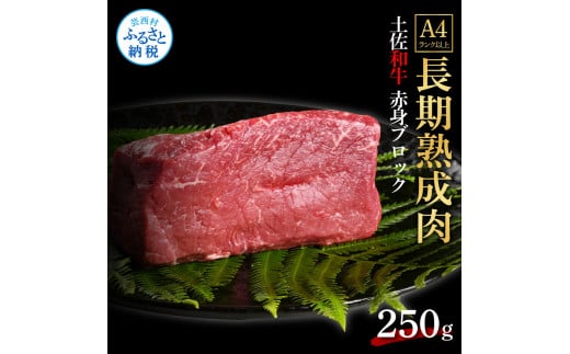 【CF-R5oka】 天下味 エイジング工法 熟成肉 土佐和牛 特選 赤身ブロック 250g エイジングビーフ 国産 牛肉 土佐 和牛 冷凍配送 真空パック お祝い 高知 芸西村 贈り物 贈答 ギフト